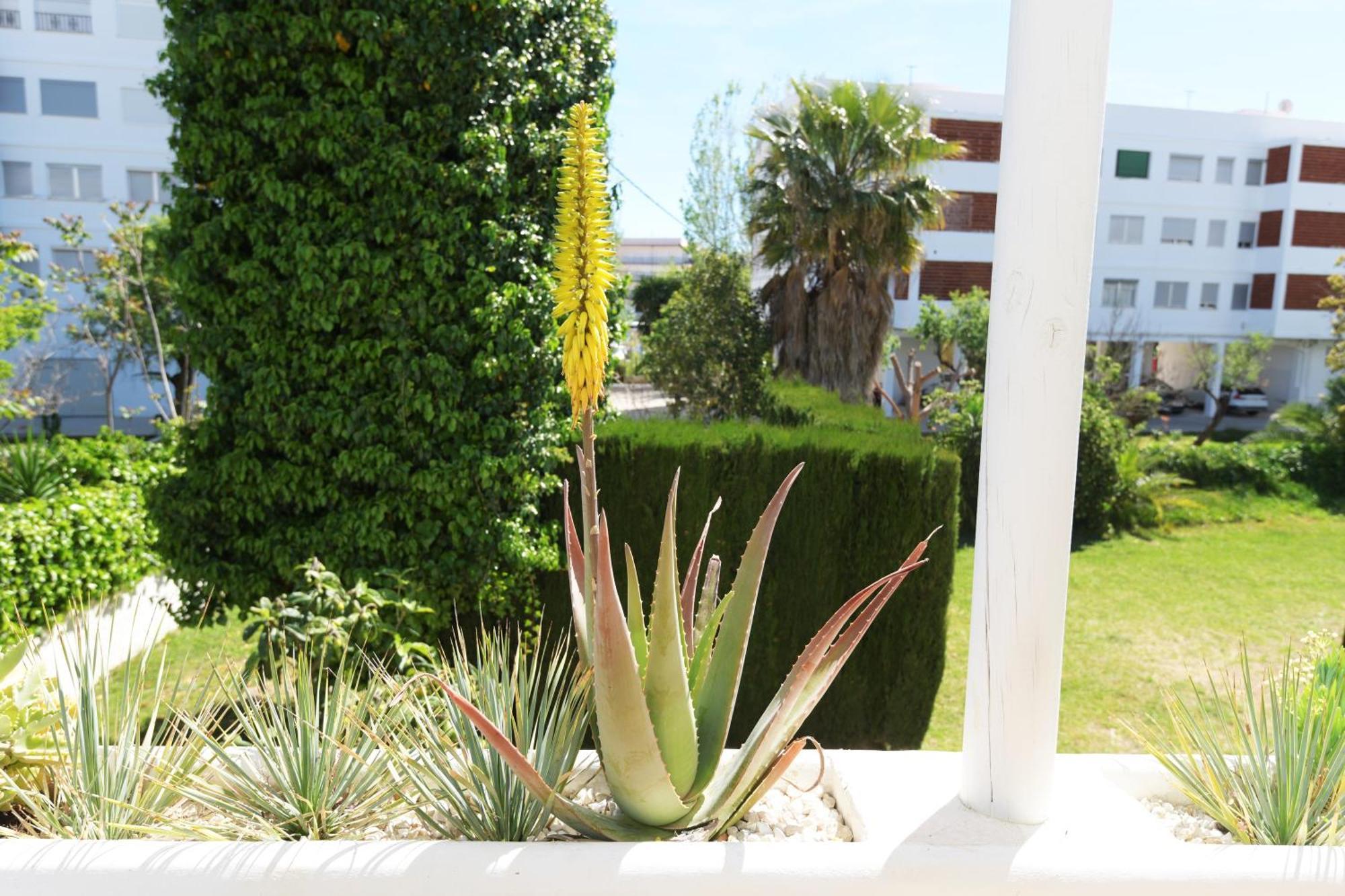 Stories Javea - Cosy Boho Apartment El Arenal - Toplocation - 250M From The Beach! Kültér fotó